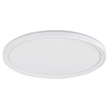 Plafoniera Rabalux PAVEL LED 22W plastic alb cu abajur plastic stil functional IP20 - 3428