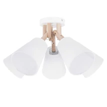 VAIO - TK-Lighting - TK-666 - Plafoniera