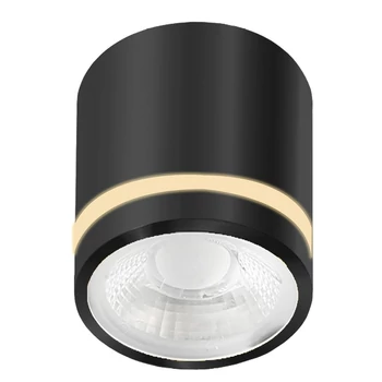 Plafoniera pentru baie Azzardo VICI metal, plastic, negru, LED, 3000K-4000K-6000K, 12W, 720lm, IP44 - 6039