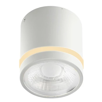 Plafoniera pentru baie Azzardo VICI metal, plastic, alb, LED, 3000K-4000K-6000K, 12W, 720lm, IP44 - 6040