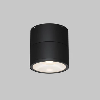 Plafoniera exterioara Maytoni SPIN metal, sticla, grafit, LED, 5W, 3000K, 480 Lm,IP 54 - O310CL-L5GF3K