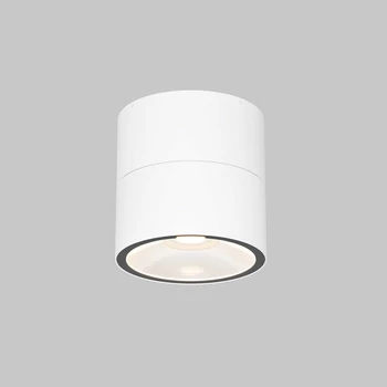 Plafoniera exterioara Maytoni SPIN metal, sticla, alb, LED, 5W, 3000K, 480 Lm,IP 54 - O310CL-L5W3K