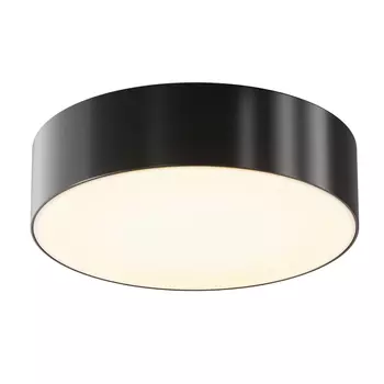 Plafoniera exterioara Maytoni ZON IP metal, plastic, negru, alb, LED, 3000K, 30W, 2200lm, IP65 - O431CL-L30B3K