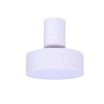 Plafoniera Rabalux OVIDIA metal, plastic, alb, LED, 16W, 3000K, 800Lm - 71327