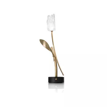 Veioza Slamp TULIP metal, Lentiflex, negru, transparent LED, 3000K, 1,3W, 150lm - TULT000PRS000BDBLBEU