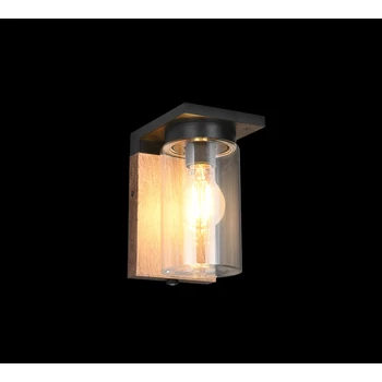 Aplica de perete exterior Trio ARDILA metal, sticla, lemn, transparent, E27, IP44 - Trio-211660135