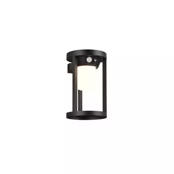 Aplica de perete exterioara cu senzor Trio CARMO metal, negru, LED, 3000K, 2W, 130lm, IP54 - 241069132