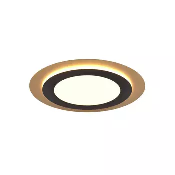 Plafoniera Trio MORGAN metal, negru, auriu, LED, 2700K-6500K, 42W, 5600lm - 641519280