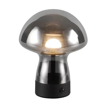 Veioza Trio DOOLEY  metal, sticla, negru, gri, LED, 1W, 140lm, 3000K - Trio-R54981154