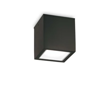 TECHO PL1 BIG NERO - IdealLux-251530 - Plafoniera exterioara