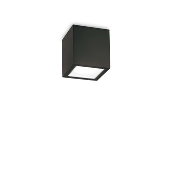 TECHO PL1 SMALL NERO - IdealLux-251578 - Plafoniera exterioara