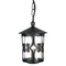 HEREFORD - Elstead - ELS-BL13B-BLACK - Pendul exterior